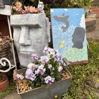 多肉植物,多肉女子,くじらの日,GSミニモニ。No.17,毎月16日はトトロの日の画像