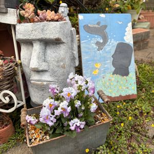 多肉植物,多肉女子,くじらの日,GSミニモニ。No.17,毎月16日はトトロの日の画像