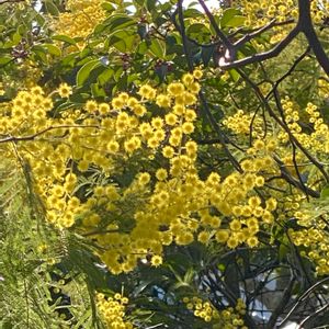 お出かけ先の画像