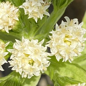 お出かけ先の画像