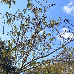 お出かけ先の画像