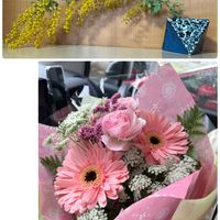 クリスマスローズ,ネモフィラ,大根,大根,ミモザの画像