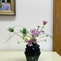 花のある暮らし,緑のある暮らし,庭の訪問者,アメリカ在住,sasukemama倶楽部の画像