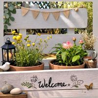 コツラ,コツラ,シャコバサボテン,シャコバサボテン,コロロの画像