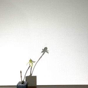 やまぼうし,やまぼうし,一輪挿し,花瓶,山野草の画像