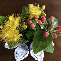 ヒペリカムの画像