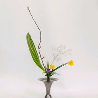 カスミソウ,スイセン,トルコキキョウ,ボケ,ハランの画像