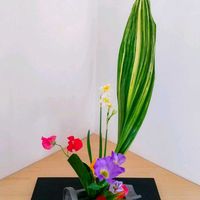 スイートピー,センニチコウ,トルコキキョウ,,ニホンスイセンの画像