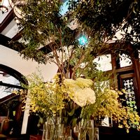 オンシジウム,キュンキュン乙女倶楽部,HTC,【こまち多肉部】,平和を願う☆の画像