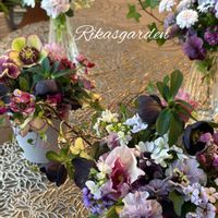 クリスマスローズ,ダイアンサス,ヘデラ,マーガレット,リナリアの画像