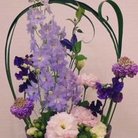 オクラレルカ,オクラレルカ,クレマチス,クレマチス,スイートピーの画像