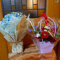 カーネーション,ガーベラ,カスミソウ,スターチス,ヒペリカムの画像