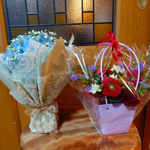 カーネーション,ガーベラ,カスミソウ,スターチス,ヒペリカムの画像