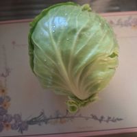 キャベツ,ありがとう,キッチン,家庭菜園の画像