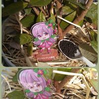 フェイジョア,モニター,PR,SDGs,アヅミンの画像