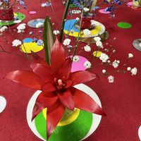 グズマニア,タンチョウアリアム,かすみそうの画像