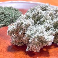 ヨモギ,艾葉,蓬(ヨモギ),蓬(ヨモギ),蓬(ヨモギ)の画像