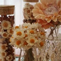 花かんざし,ドライフラワー,多肉中毒,タニラー,多肉女子の画像