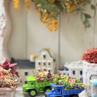 ムスカリ,多肉の寄せ植え,ちまちま寄せの画像