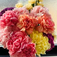 カーネーション,スイートピー,チューリップ,切り花の画像