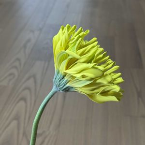 ガーベラ,アフリカセンボンヤリ,一輪挿し,花車,キク科の画像