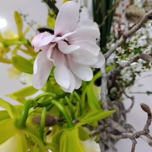 エントランス,お出かけ先の画像