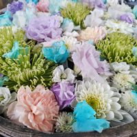 アルストロメリア,カーネーション,ガーベラ,ストック,ダリアの画像