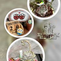 ルビーネックレス,ラブリーローズ,シロニカ,リトルコンチ,フォーリングチェリーの画像