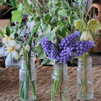 スイセン,ムスカリ,アイビー,バイモユリ,白色の花の画像