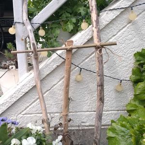 クレマチス,流木,支柱の画像