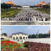 サルビア,サルビア,ツツジ,ツツジ,ベゴニアの画像