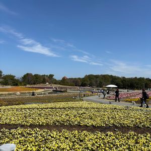 松ぼっくり,トトロ,となりのトトロ,ワイヤークラフト,フラワーガーデンの画像