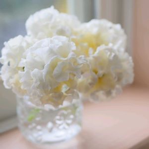 パンジー,ウェディングドレス,福岡,備忘録,癒し…の画像