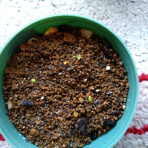 癒し…♡,窓辺の画像