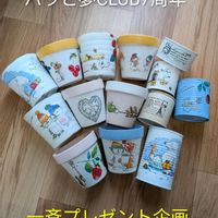 多肉植物,かわいい,多肉棚,豪華,三重県の画像