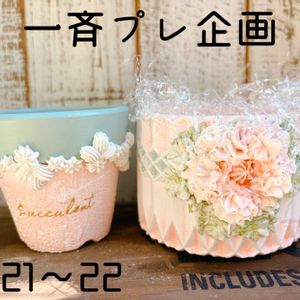 作家さんの作品,多肉植物のある暮らし,プレ企画,作家鉢,バラと夢CLUBの画像