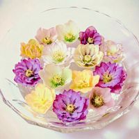 フローティングフラワー,部屋の画像