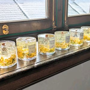 ミモザ,ミモザ,北海道,ワークショップ ,ジェルキャンドルの画像