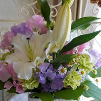 カーネーション,カサブランカ,カモミール,スイートピー,お花のプレゼントの画像