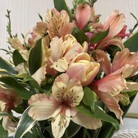 アルストロメリア,カーネーション,スイートピー,トルコキキョウ,かすみ草の画像