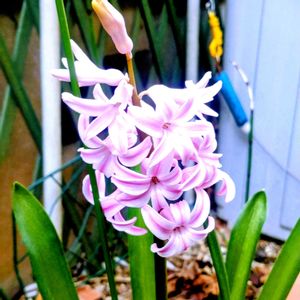 アプローチの画像