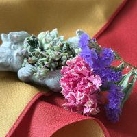ドライフラワー,春の訪れ,ちまちま寄せ,ニャンニャン祭り,青森県(*´˘`*)だーい好き❣❣の画像