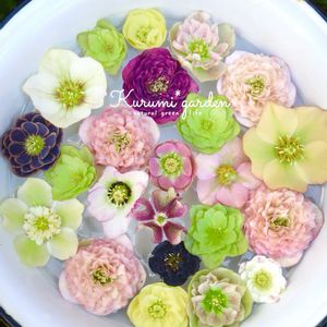 クリスマスローズ,クリスマスローズ,フローティング フラワー,ホーロー,アンティーク雑貨の画像