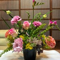 クリスマスローズ,クリスマスローズ,シザンサス,シザンサス,トルコキキョウの画像