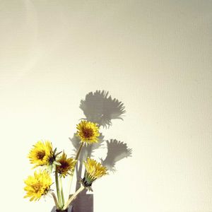 タンポポ,タンポポ,一輪挿し,花瓶,山野草の画像