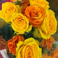 ダリア,バラ,小菊の画像