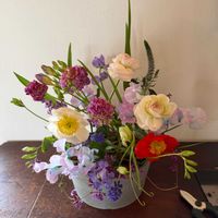 スカビオサ,チューリップ,ハーデンベルギア,ポピー,フリージアの画像