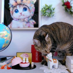 パンチ君,ネコ好き,ハーブのある暮らし,ネコと植物,ねこと緑のある暮らしの画像