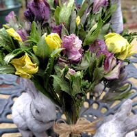 クリスマスローズ,ドライフラワー,スワッグ,ウクライナに平和を,玄関アプローチの画像