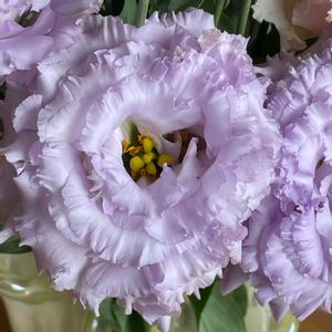 花瓶,我が家の画像